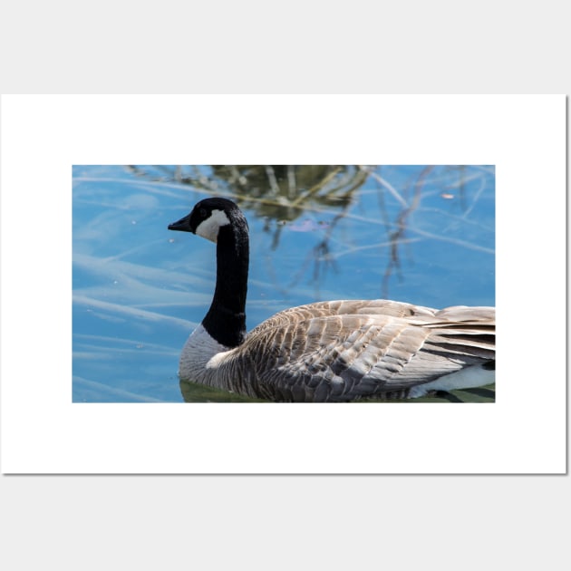 Canada Geese Wall Art by CanadianWild418